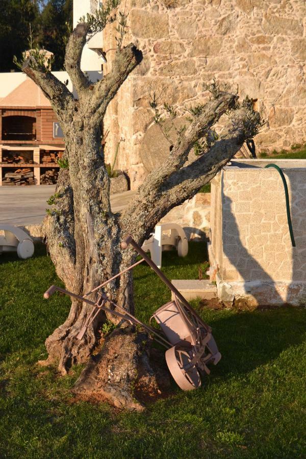 Casa da Trapa Villa Oliveira de Azeméis Bagian luar foto
